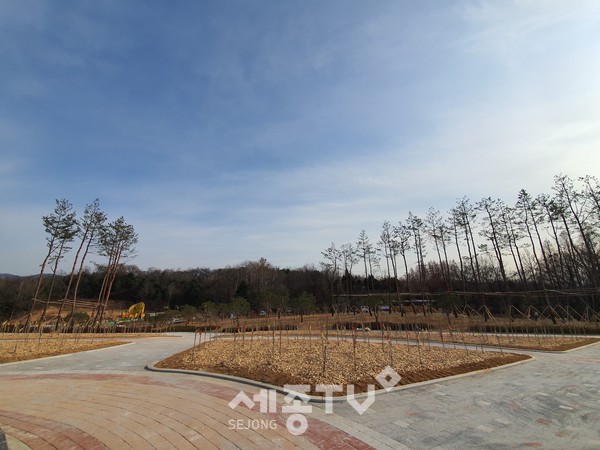 독립기념관 일원에 조성된 ‘명품 무궁화 테마공원’ 모습.(사진제공=천안시청)