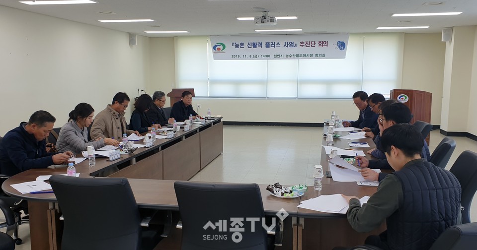 농촌 신활력플러스 사업 추진단 회의 모습.(사진제공=천안시청)