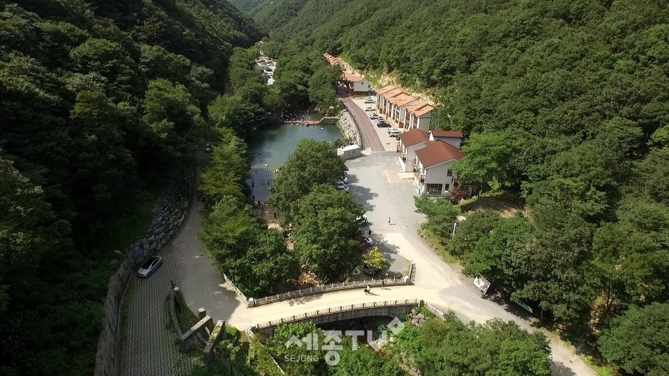 산림문화타운 모습. (사진제공=금산군청)