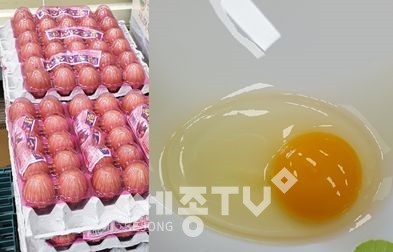 제공되는 영양간식 류. (사진제공=금산군청)