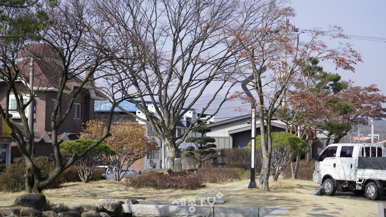 금산군산림녹지과,  생활권 수목(樹木)진료 컨설팅 10개소 추진. (사진제공=금산군청)