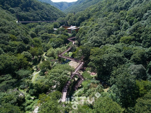 금산산림문화타운 산책로 모습