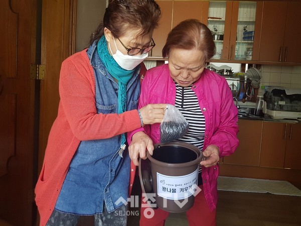 반려식물 키우기 키트 전달 모습