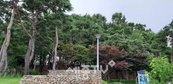 금산읍 수림공원