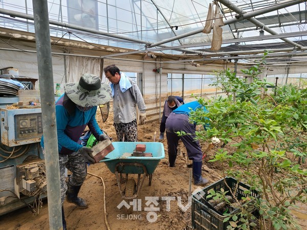 자원봉사자 수해복구 활동 모습.