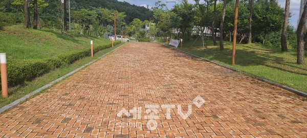 혁신시제품소금살포 후.