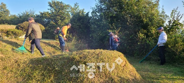 천안시 광덕면 이장협의회는 28일 지역 내 무연분묘 벌초작업을 실시했다.(사진제공=천안시청)