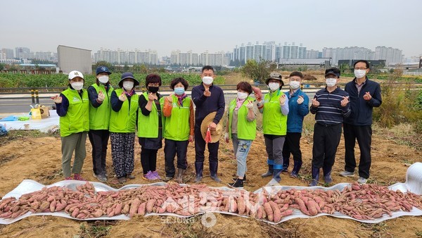 천안시 신방동 행복키움지원단이 16일 직접 생산한 햇고구마 나눔행사를 실시했다.(사진제공=천안시청)