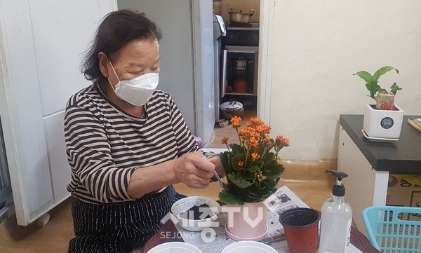 홈 취미활동(반려식물 심기 및 키움 활동)에 참여하고 있는 어르신.(사진=대전시설관리공단)