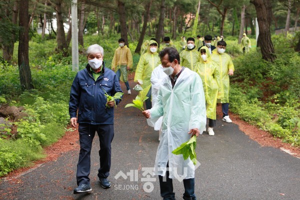 금산소방서 공무원과 약초 캐기 체험 중인 문정우 금산군수.(사진=금산군)