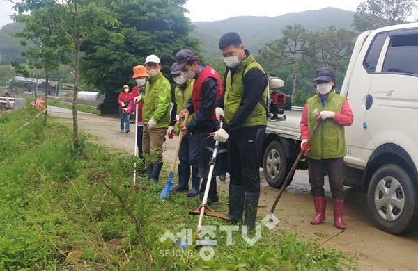 천안시 북면 주민자치위원회가 25일 북면 연춘리 일대 이팝나무길 정화작업을 실시했다.(사진=천안시)