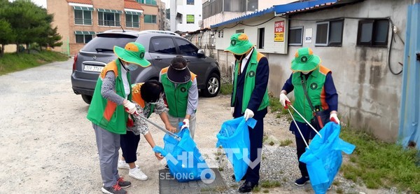 환경정화활동(연기면)