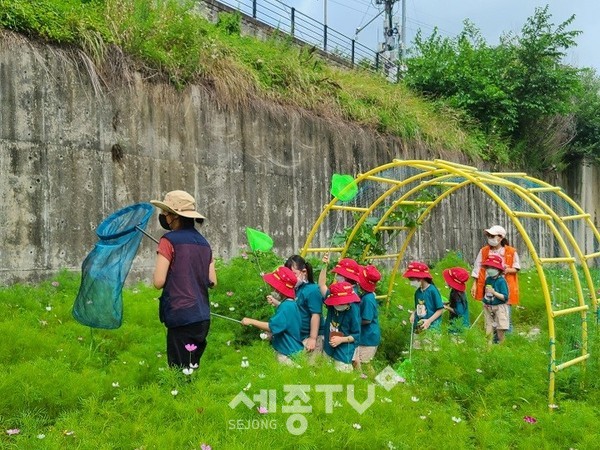 천안시 일봉동 주민자치위원회가 9일 용곡동 일대 천안천에서 인근 유치원생20여명을 대상으로 생물다양성 탐사활동 진행했다.(사진=천안시 제공)