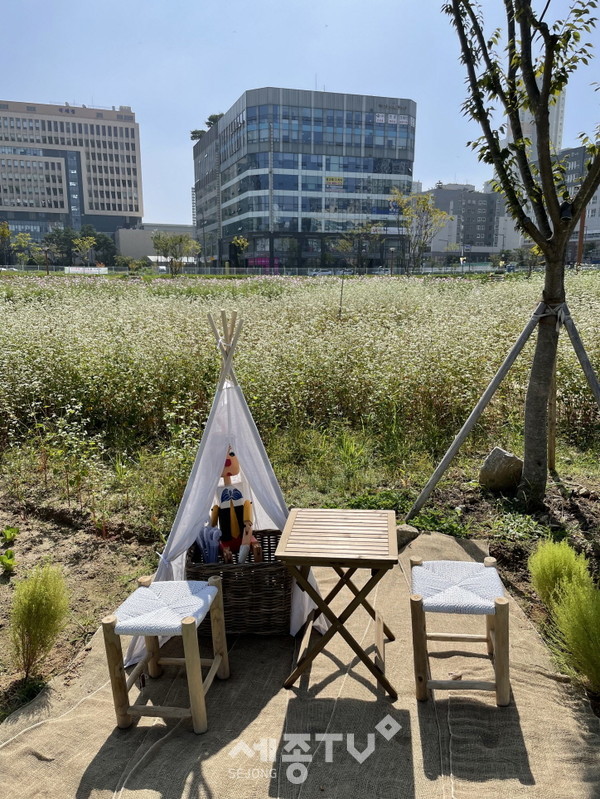 풀꽃마당 포토존