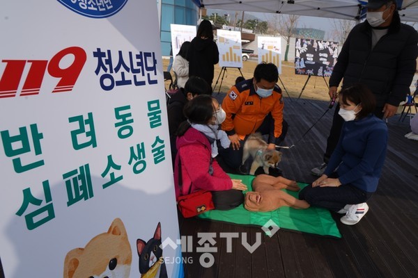 반려동물응급처치(조치원소방서)