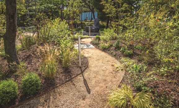 대전시, 산림청 정원드림 프로젝트 3년 연속 선정-사진1