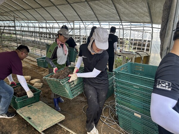 대전시, 침수 피해 당진에 3차 복구 지원…83명 손 보탰다1