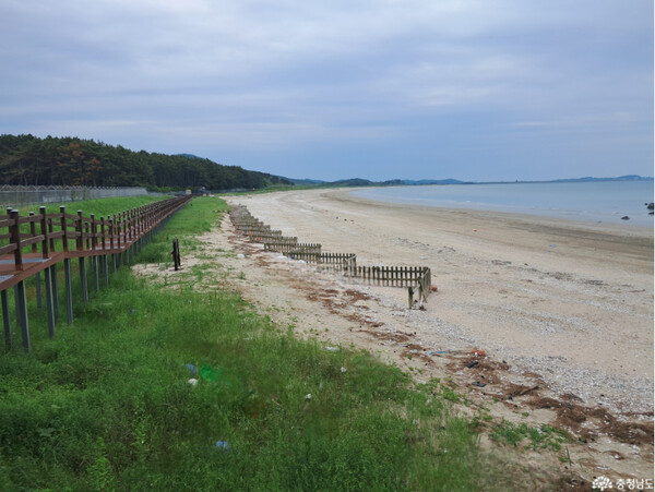 소황사구/사진제공=충남도청