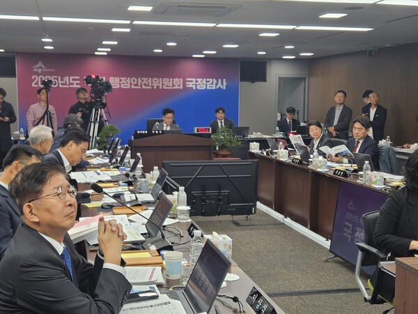 국회 행정안전위원회의 세종시청 대한 국정감사 진행 모습/세종TV=최정현 기자