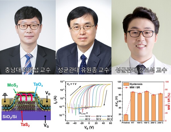 충남대-성균관대 연구팀/사진제공=충남대