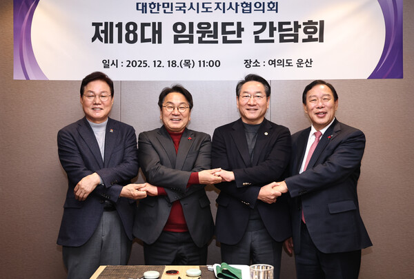 (오른쪽부터 최민호 세종시장, 유정복 인천시장, 강기정 광주시장, 박완수 경남도지사)