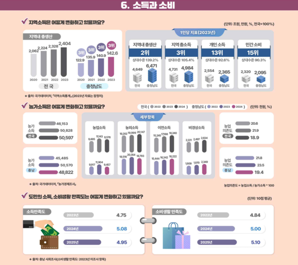 2025 충남사회조사 결과-소득과 소비/사진제공=충남도청