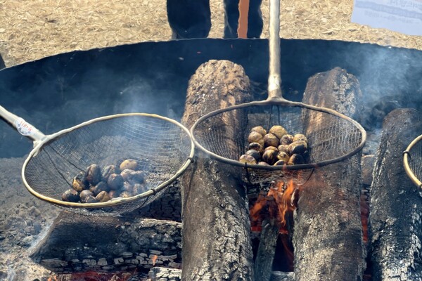 대형화로에서 알밤을 굽고 있는 군밤 축제장 모습/사진제공=공주시