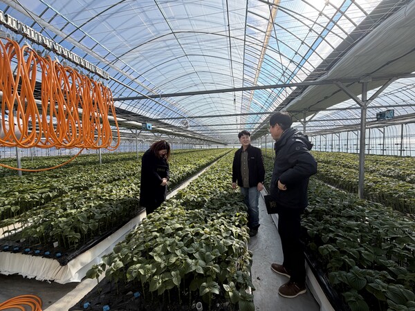 금산군 농촌자원분야 시범사업 대상자 선정 현지 심사 모습