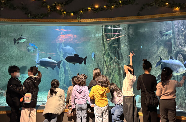11일 대전엑스포아쿠아리움에서 진행된 드림스타트 아동 대상 ‘겨울방학 문화 프로그램’ 진행 모습/사진=대전 유성구 제공