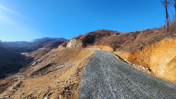 지난해 개설된 신대지구 산불진화임도
